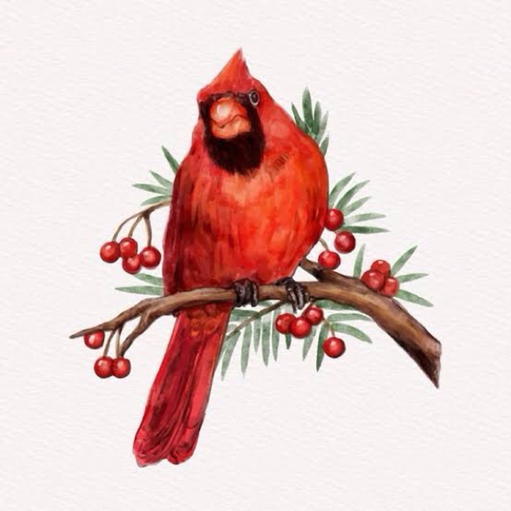 ADVENT 2025: Jesus Christ Is Born, 3rd Annual Bible Study with @nookandgrace